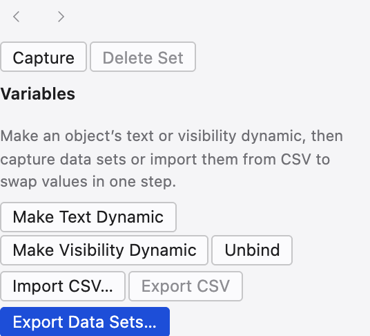 The Variables panel binding objects to data.